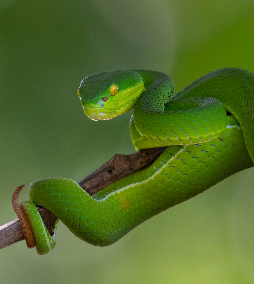 blog corousel image
